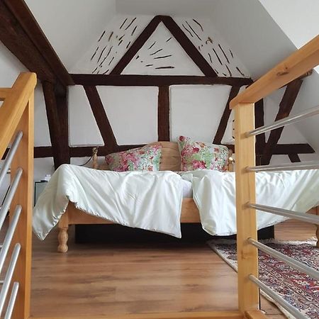 Rheingau - Schoene Moeblierte Ferienwohnung Eltville am Rhein Екстериор снимка